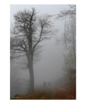Ομίχλη , άσπρη σκοτεινιά - Βέρμιο ( Ντρετάκης Μανώλης ) 