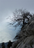 Μολυβένια τα νερά του Ευβοϊκού από την ομίχλη , τη σκιά και το βάθος . 