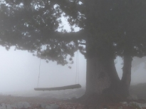 Η πυκνή ομίχλη μας καλωσόρισε στο καταφύγιο Πετρόστρουγκα.