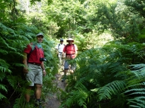 Το ορειβατικό μονοπάτι Σ2 , διασχίζει το αισθητικό δάσος της Στενής το οποίο είναι κατάφυτο από πεύκα , σχοίνα , κουμαριές , ρείκια , πουρνάρια και φτέρες .  